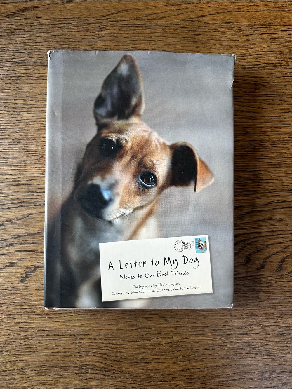 Anthropologie Dog Keepsake Book — Tan & Brown Cover